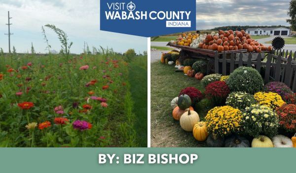 Seasons Are Bursting in Wabash County!