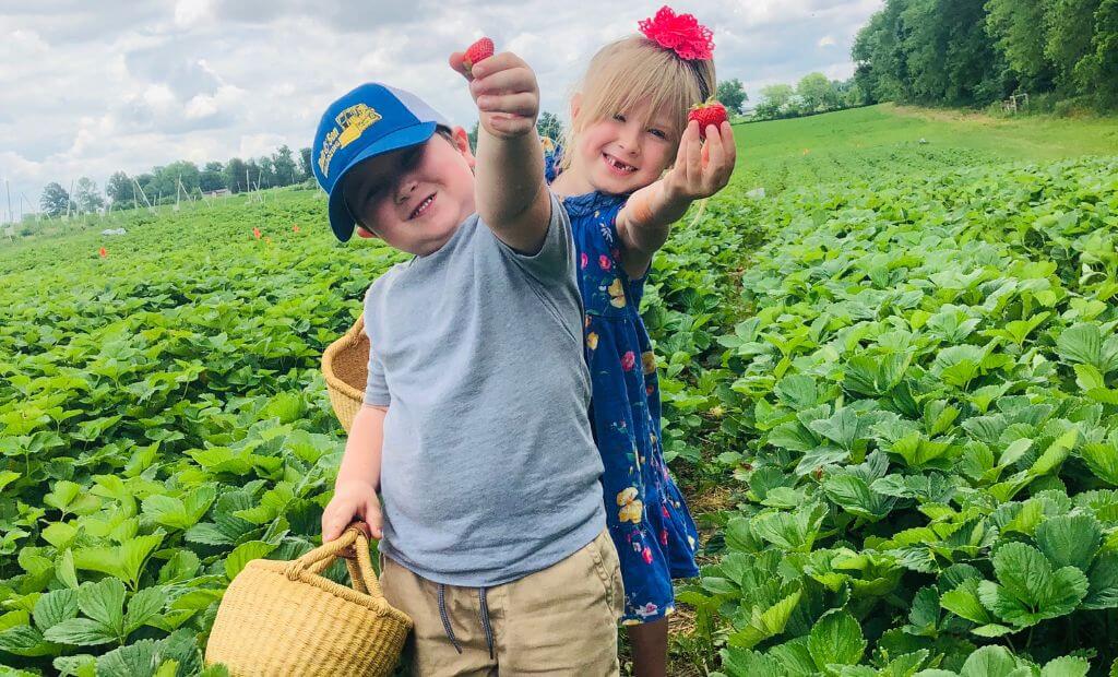 Cordes Berry Farm in Roann Indiana