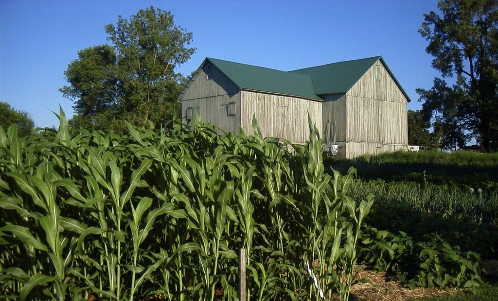 Joyfield Farms in North Manchester