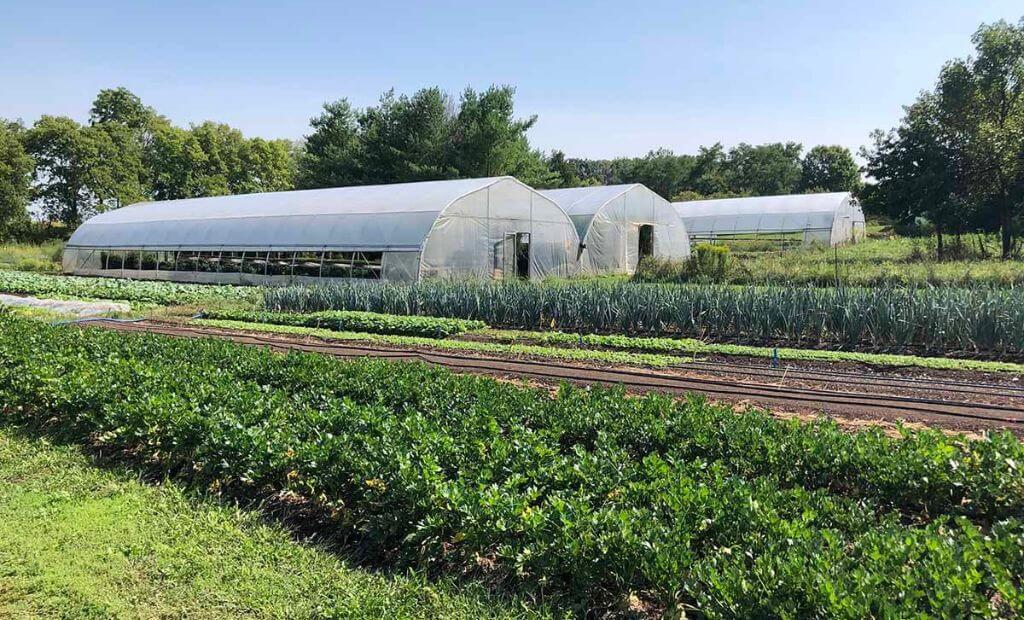 Spring Hill Farm in North Manchester Indiana