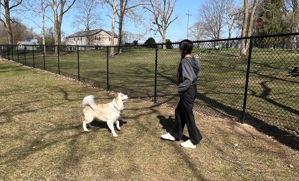 North Manchester Dog Park in North Manchester Indiana.