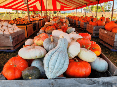 Loon Creek Farm Market in LaFontaine