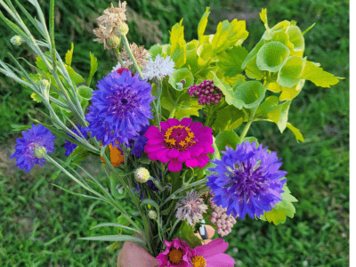 Rustic Field Flowers & Farm in Wabash